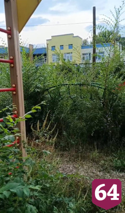 В Саратове качели и горки на детской площадке утопают в сорняках