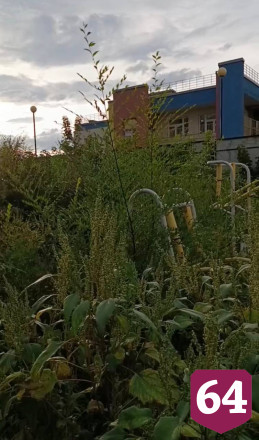В Саратове качели и горки на детской площадке утопают в сорняках